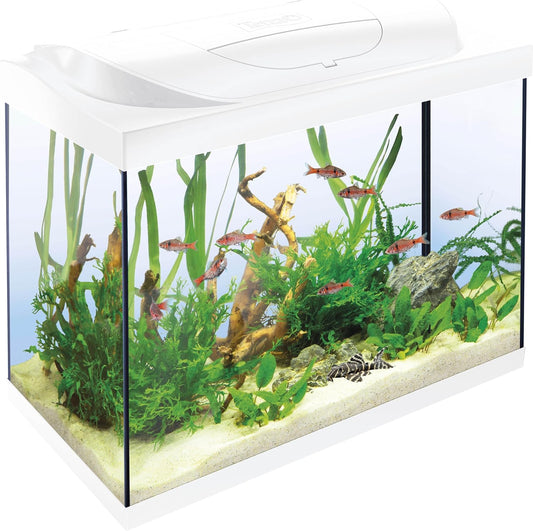 Tetra Starter Line 80L Aquarium-Komplettset (Weiß) – Inkl. LED, Filter & Heizer