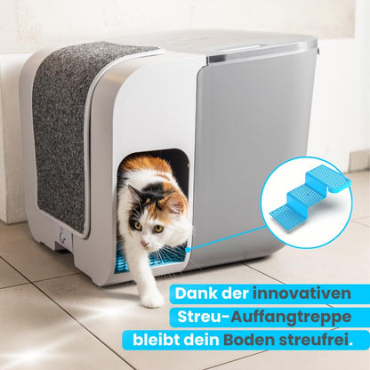 elly&bruce Cloou XL Design-Katzentoilette – Mit Auffangtreppe & Hohem Rand (Gegen Strandeffekt)