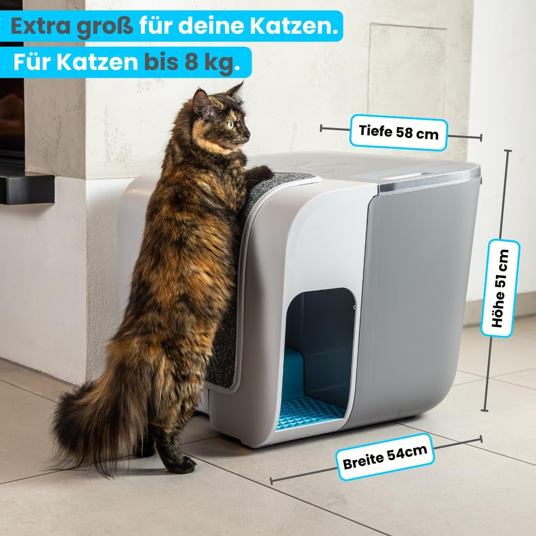 elly&bruce Cloou XL Design-Katzentoilette – Mit Auffangtreppe & Hohem Rand (Gegen Strandeffekt)