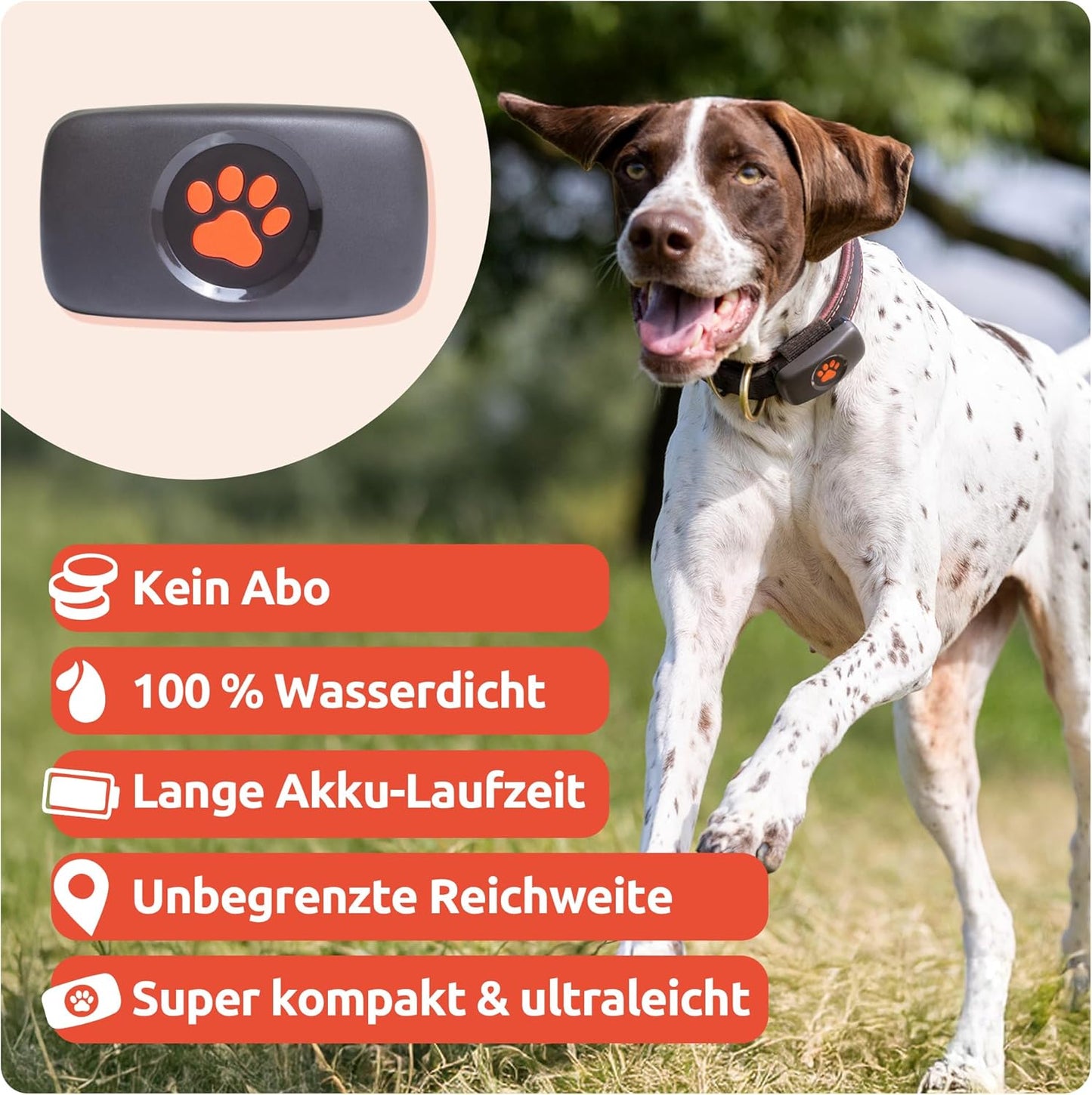PitPat GPS Tracker für Hunde – OHNE Abo-Gebühren, Unbegrenzte Reichweite & Wasserdicht