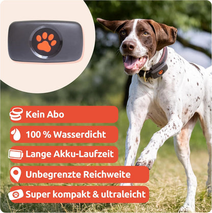 PitPat GPS Tracker für Hunde – OHNE Abo-Gebühren, Unbegrenzte Reichweite & Wasserdicht