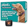 PitPat GPS Tracker für Hunde – OHNE Abo-Gebühren, Unbegrenzte Reichweite & Wasserdicht