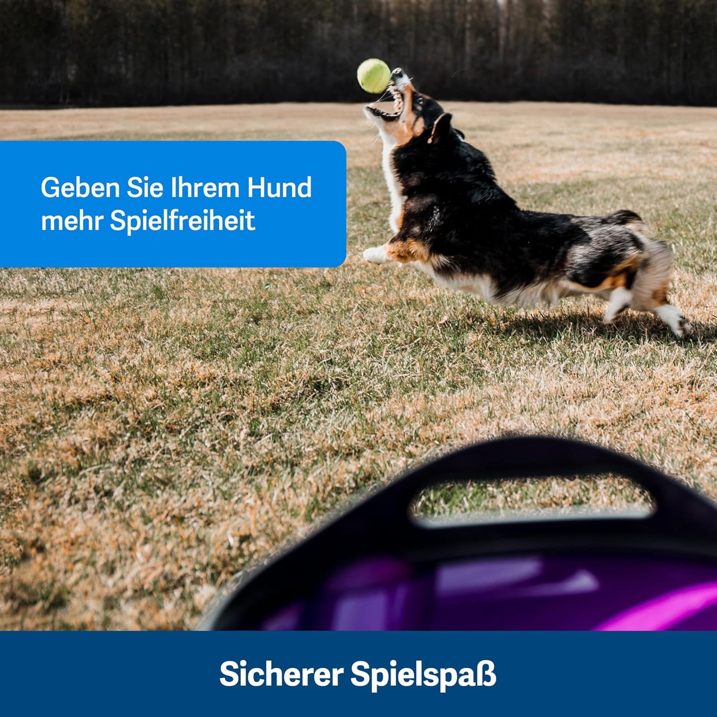 PetSafe Automatischer Ballwerfer – Interaktives Hundespielzeug mit Sicherheitssensor