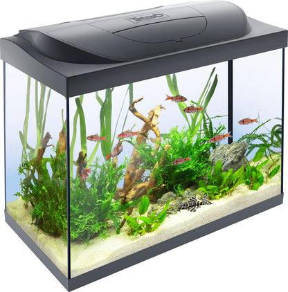 Tetra Starter Line 80L Aquarium-Komplettset (Weiß) – Inkl. LED, Filter & Heizer