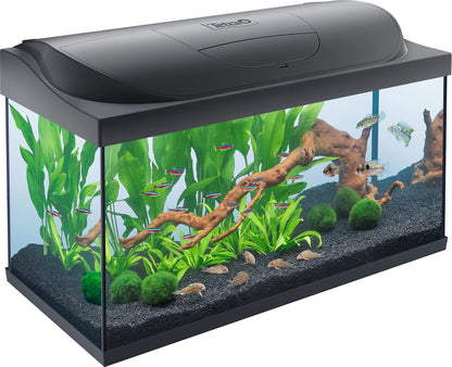 Tetra Starter Line 80L Aquarium-Komplettset (Weiß) – Inkl. LED, Filter & Heizer