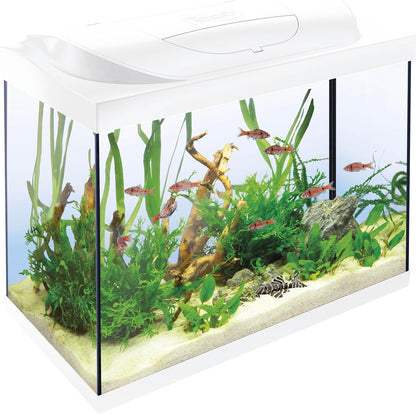 Tetra Starter Line 80L Aquarium-Komplettset (Weiß) – Inkl. LED, Filter & Heizer