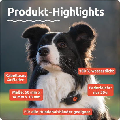 PitPat GPS Tracker für Hunde – OHNE Abo-Gebühren, Unbegrenzte Reichweite & Wasserdicht