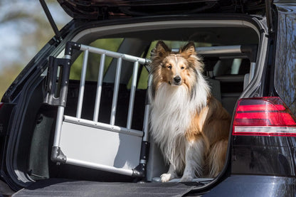 TRIXIE Aluminium-Hundetransportbox (Größe M) – Sicher, Leise & Stabil fürs Auto