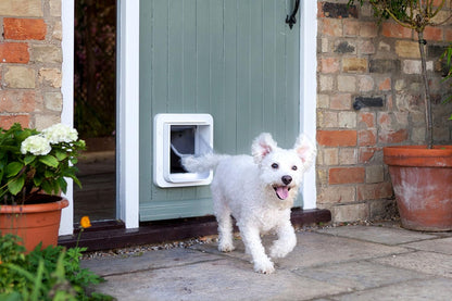 SureFlap Mikrochip Katzenklappe – Stoppt fremde Tiere & Selektiver Zutritt