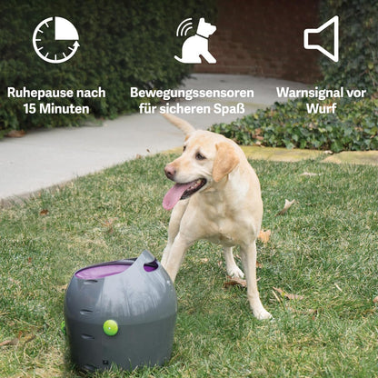 PetSafe Automatischer Ballwerfer – Interaktives Hundespielzeug mit Sicherheitssensor